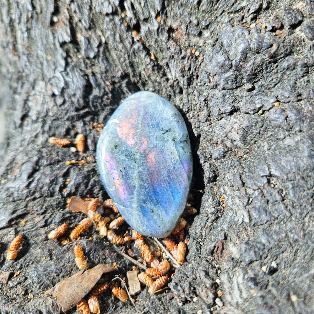 Galets Labradorite violette