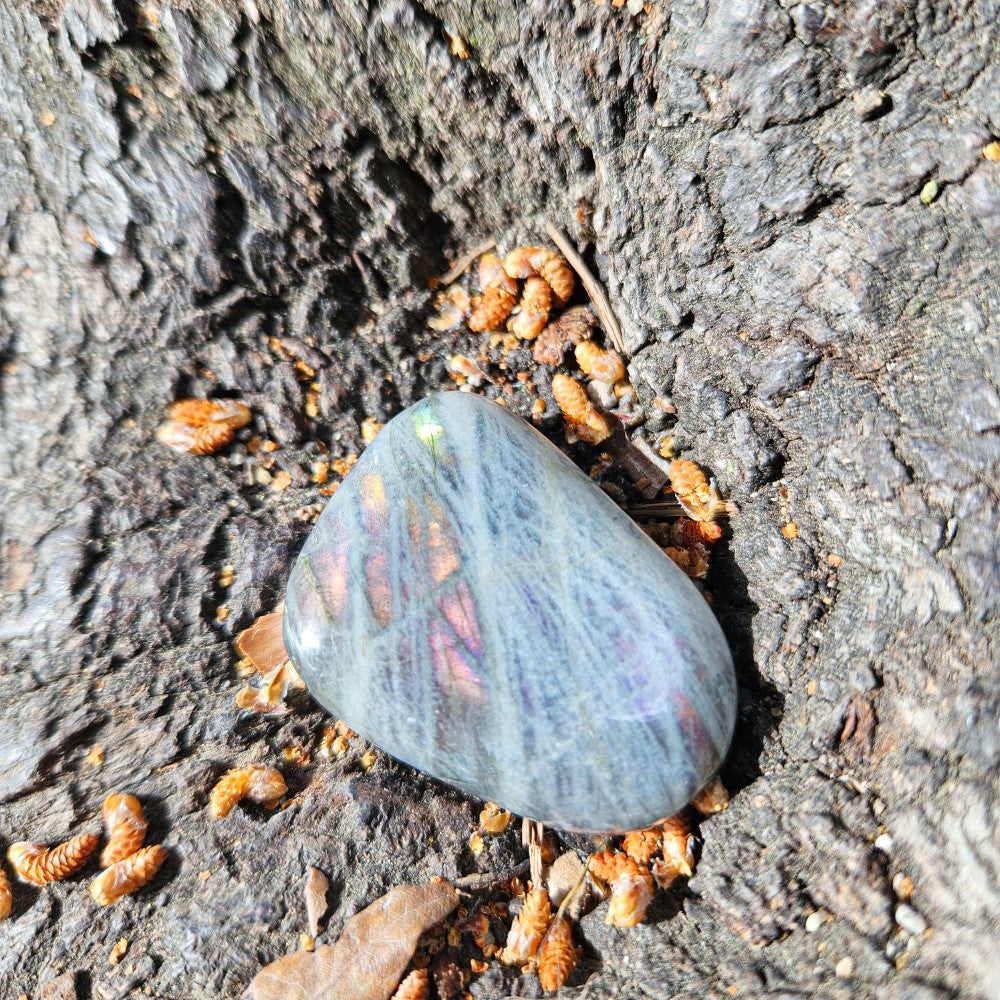 Galets Labradorite violette