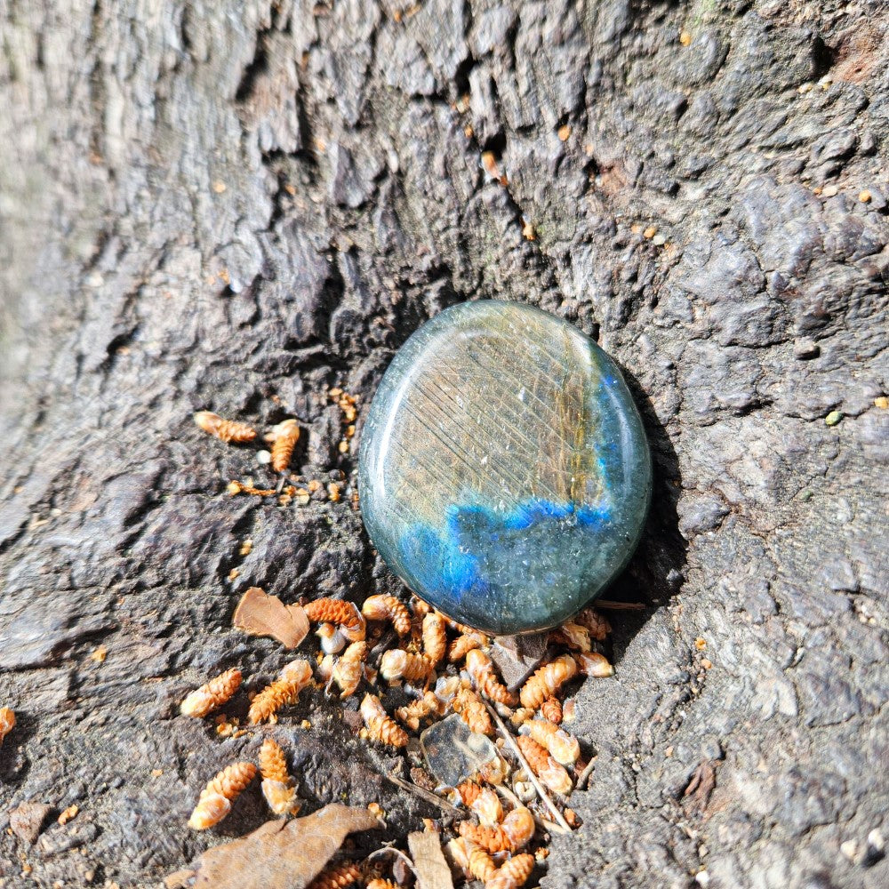 Galets Labradorite violette