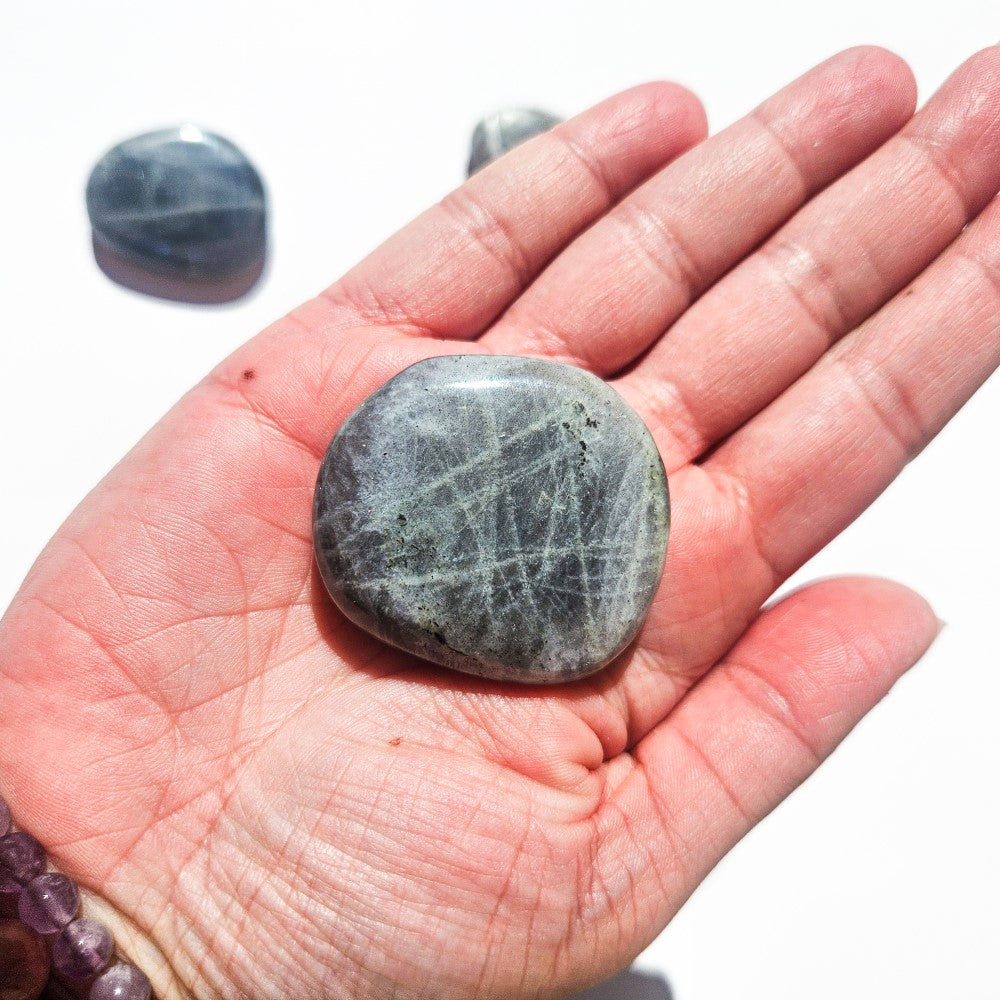 Galets Labradorite violette