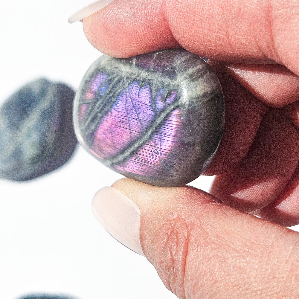 Galets Labradorite violette